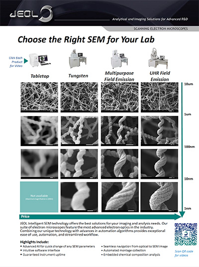 JEOL Materials SEM Comparisons